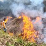 Meradang! Larangan Bakar Lahan Digugat, Peladang Bengkayang: Jangan Jadikan Petani Korban, Cek Perusahaan Besar!