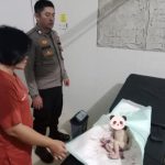Geger! Bayi Perempuan Ditemukan Tak Bernyawa dalam Kantong Plastik di Sanggau Ledo