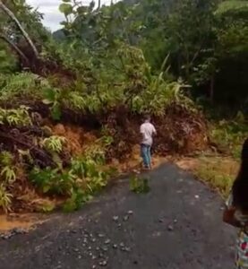 BPBD Prov. Kalbar Daniel Sinyor, S. Pd melalui Ketua Satgas Informasi sudah berkoordinasi dengan BPBD Kab. Landak untuk segera turun ke lapangan melakukan asesmen terhadap fasum yang terdampak, dan segera lakukan koordinasi dengan instansi terkait untuk melakukan upaya penggusuran material tanah, kayu dan batu yang menutup badan jalan