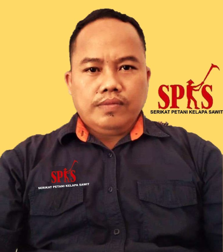 SPKS Bengkayang Soroti Anjloknya Harga TBS Sawit Pasca Wacana Kebijakan Ekspor Pemerintah