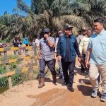 Tinjau Lahan Sengketa di Karimunting, Bupati Sebastianus Darwis Tegaskan Panen Harus Dilakukan Petani Plasma
